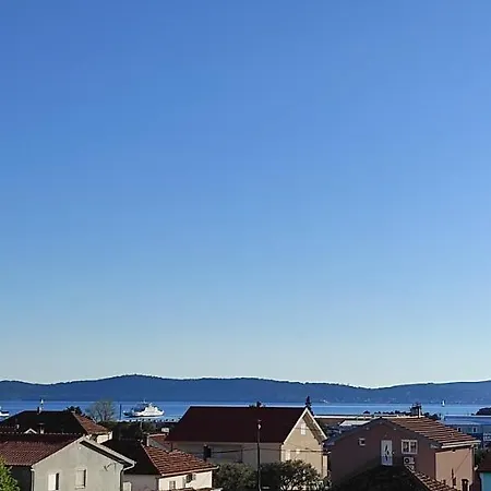 Orhideja *