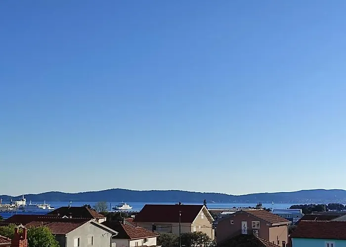 Orhideja *