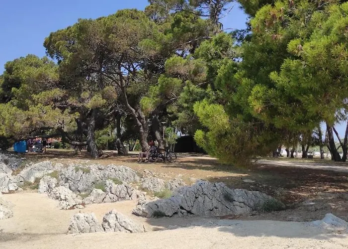 Orhideja Apartamento Zadar