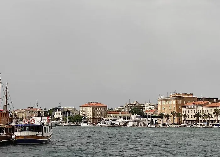 Orhideja Zadar