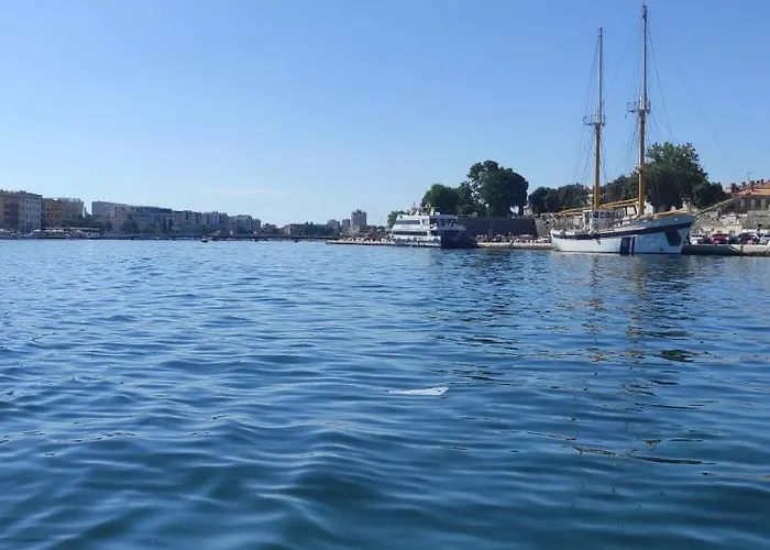 Orhideja *