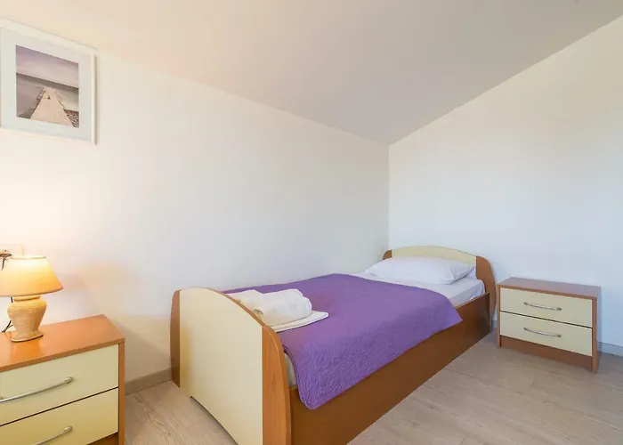 Orhideja * 扎达尔