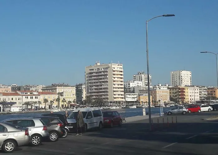 Orhideja Zadar