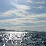 Orhideja