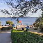 Orhideja *
