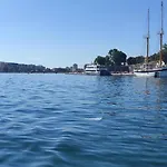 Orhideja *