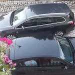 Orhideja * Zadar