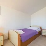 Orhideja * Zadar