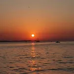 Orhideja Zadar