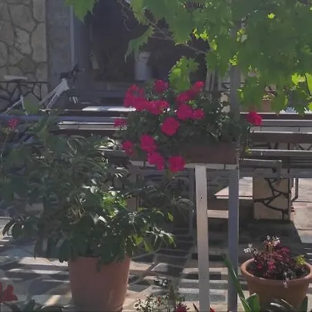 Apartment Orhideja *