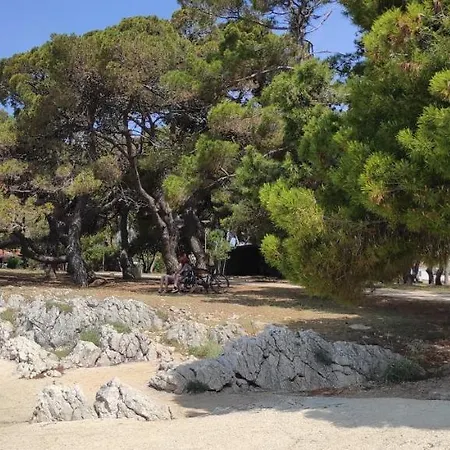 Orhideja Apartamento Zadar