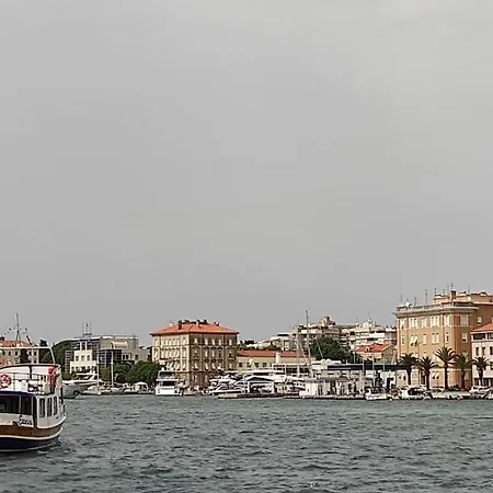 Orhideja Zadar