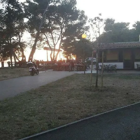 Orhideja Διαμέρισμα