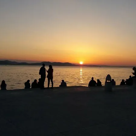 Orhideja * Zadar