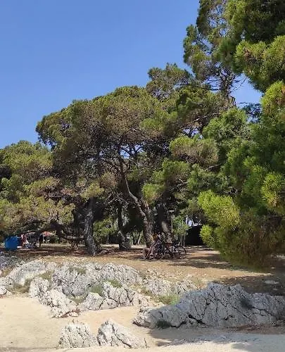 Orhideja Apartmán Zadar