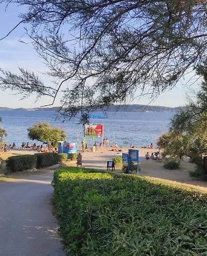 Orhideja *