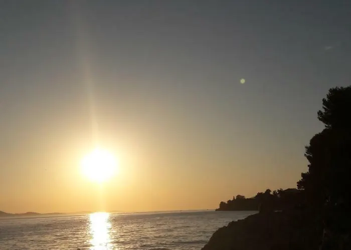 Orhideja * Zadar